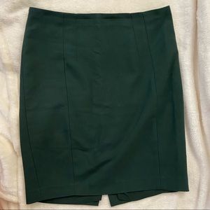 Express Pencil Skirt